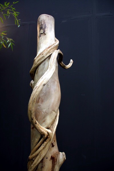 INFA 2008_019.jpg